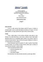 Paraugs 'Trigeri', 1.