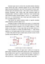 Paraugs 'Trigeri', 2.