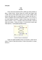 Paraugs 'Trigeri', 4.