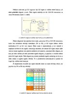 Paraugs 'Trigeri', 8.