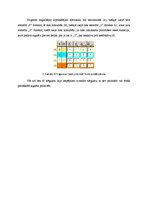 Paraugs 'Trigeri', 9.