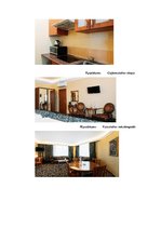 Referāts 'Praktiskais darbs "tehnoloģiskās iekārtas" luksa viesu istabas aprīkojums “x” vi', 16.