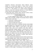 Referāts 'Kultūras tipoloģija', 5.