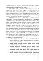 Referāts 'Kultūras tipoloģija', 6.