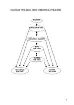 Referāts 'Kultūras tipoloģija', 9.