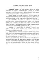 Referāts 'Kultūras tipoloģija', 15.