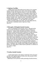 Konspekts 'Latvijas baznīcas', 1.