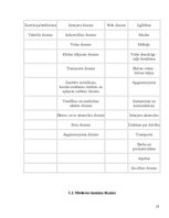 Referāts 'Estētika', 13.