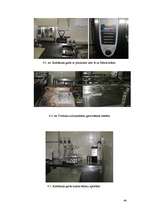 Prakses atskaite 'Restorānu prakses atskaite', 44.