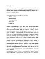 Referāts 'Zināšanu ģenerēšana', 17.