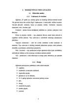 Referāts 'Ceļojumu aģentūras "X" mārketinga vides analīze', 6.