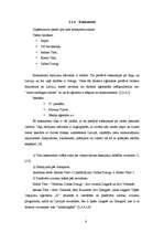 Referāts 'Ceļojumu aģentūras "X" mārketinga vides analīze', 8.