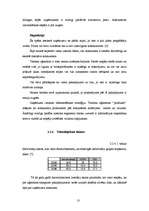 Referāts 'Ceļojumu aģentūras "X" mārketinga vides analīze', 13.