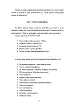 Referāts 'Ceļojumu aģentūras "X" mārketinga vides analīze', 15.