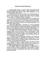 Eseja 'Intervija ar Raulu Renemani', 1.