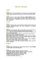 Referāts 'Sēņu daudzveidība', 9.