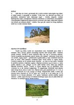 Referāts 'Sēņu daudzveidība', 15.