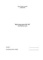 Diplomdarbs 'Mārketinga plāns SIA "K"', 1.