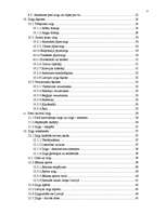 Referāts 'Zirgs un cilvēks, laikam ritot', 3.