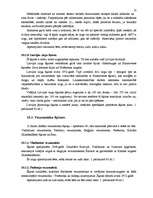 Referāts 'Zirgs un cilvēks, laikam ritot', 32.