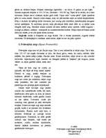 Referāts 'Zirgs un cilvēks, laikam ritot', 82.