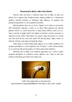 Referāts 'Sastopamie riski darba vietā', 6.