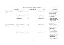 Referāts 'Sastopamie riski darba vietā', 9.