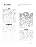 Konspekts 'Dzīvo organismu klasifikācija', 11.