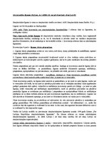 Konspekts 'Starptautisko līgumu slēgšana', 1.