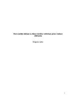 Diplomdarbs 'Masu mediju ietekme uz dienas kārtības veidošanu pirms Saeimas vēlēšanām', 1.