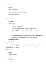 Konspekts 'Akūta un hroniska nieru mazspēja', 2.