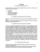 Prakses atskaite 'Kvalifikācijas prakse grāmatvedībā', 10.