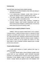 Eseja 'Patērētāju sabiedrība', 2.