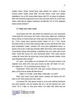 Referāts 'Valūtas tirgus', 13.