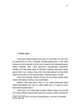 Referāts 'Valūtas tirgus', 17.