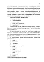 Referāts 'Valūtas tirgus', 18.