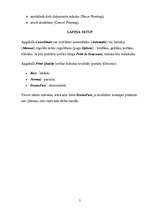 Konspekts 'Adatu printera uzbūve', 5.