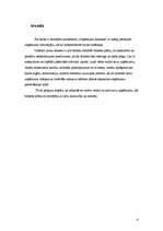 Biznesa plāns 'Bērnu preču mazumtirdzniecības veikals', 4.