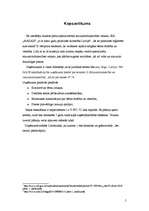 Biznesa plāns 'Bērnu preču mazumtirdzniecības veikals', 5.