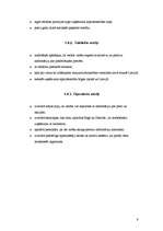 Biznesa plāns 'Bērnu preču mazumtirdzniecības veikals', 9.