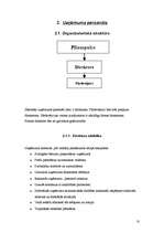 Biznesa plāns 'Bērnu preču mazumtirdzniecības veikals', 10.