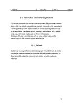 Biznesa plāns 'Bērnu preču mazumtirdzniecības veikals', 20.