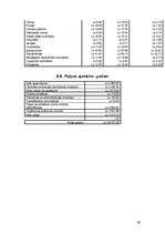 Biznesa plāns 'Bērnu preču mazumtirdzniecības veikals', 26.