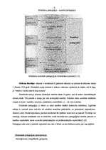 Referāts 'Holistiskā pedagoģija. Mācību metožu un paņēmienu pielietojums mācību procesā. M', 6.