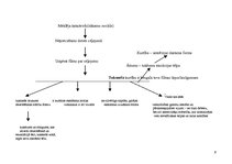 Referāts 'Žans Bodrijārs. Amerika. "Izzūdošais punkts"', 6.