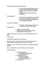 Konspekts 'Tiesību normu kolīzijas', 4.