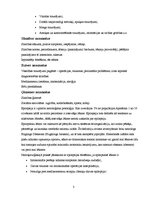 Konspekts 'Epilepsija', 2.