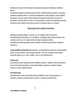 Konspekts 'Epilepsija', 12.