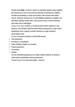 Konspekts 'Pasta dibināšana Latvijā. SVID analīze', 2.