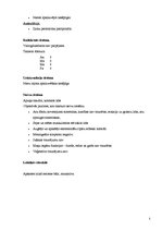 Prakses atskaite 'Slimības vēsture pediatrijā', 5.